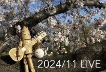 【ライブ情報】2024年11月